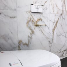 Brilliant SA Renovations - smart toilet unit that includes an integrated bidet, heated seat, dryer and a night light.