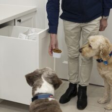 Hampton style laundry renovation